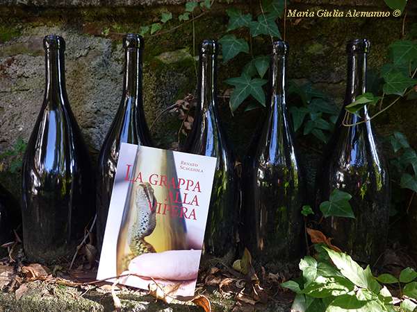 grappa-alla-vipera-e-bottiglie