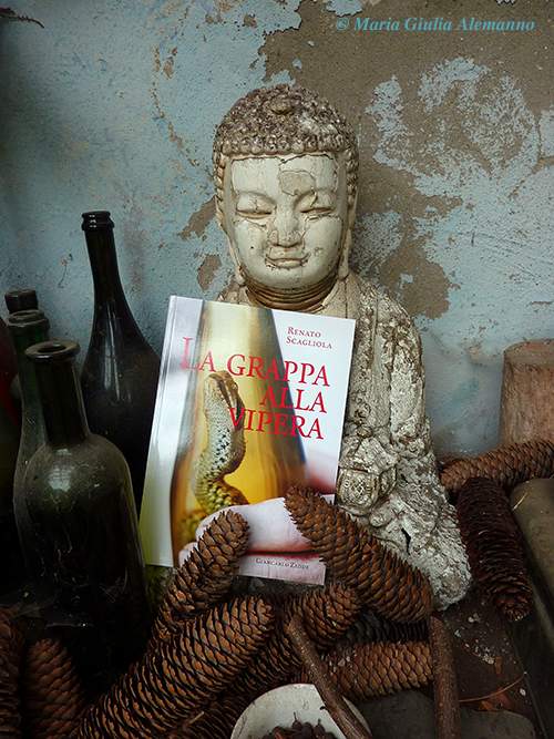 grappa-alla-vipera-scagliola-budda