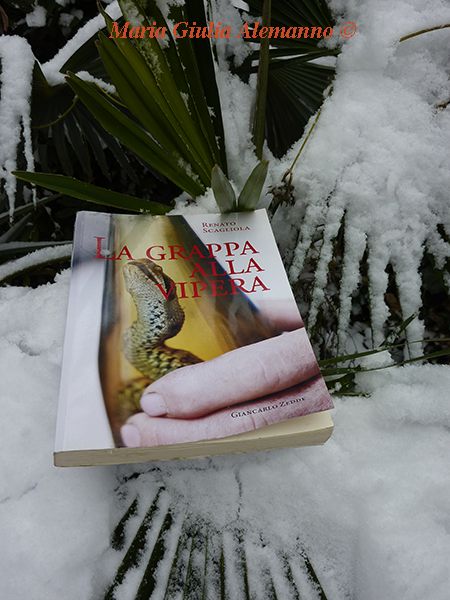 grappa-alla-vipera-scagliola-palma-e-neve