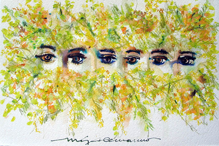 mimose Maria Giulia Alemanno