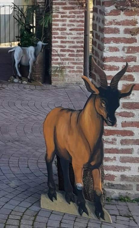 presepe dei rifiutati_ aramengo_nicola 3