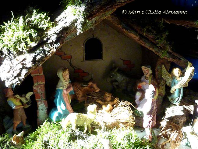 P1270120 copy