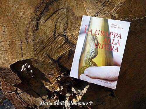 grappa-alla-vipera-alla-madonna-della-neve