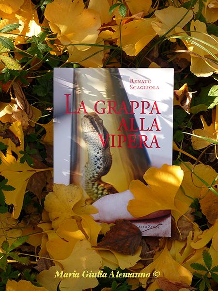 grappa-alla-vipera-e-ginko-biloba