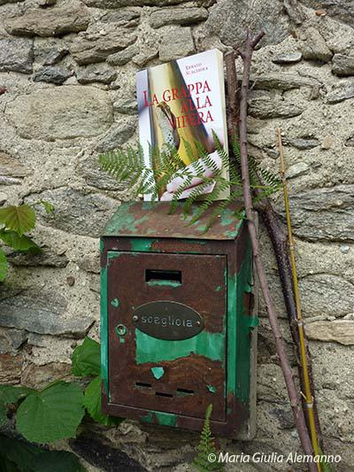 grappa-alla-vipera-renato-scagliola-lettere-copy