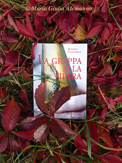 grappa-alla-vipera-renato-scagliola-vite-vergine-b1