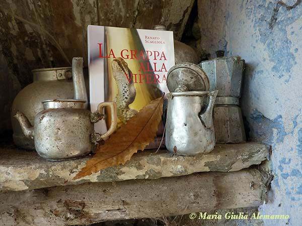grappa-vipera-caffettiere-scagliola-foglia