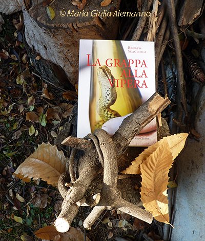 grappa-vipera-scagliola-castagno-copy