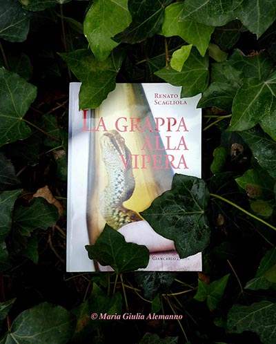 la-grappa-alla-vipera-e-ledera
