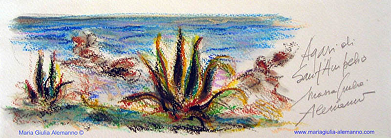 piccole-agavi-di-santampelio-copy2