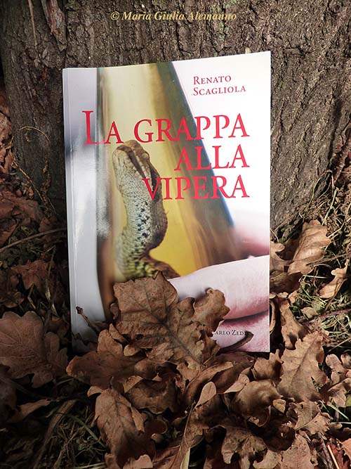 renato-scagliola-grappa-alla-vipera-quercia