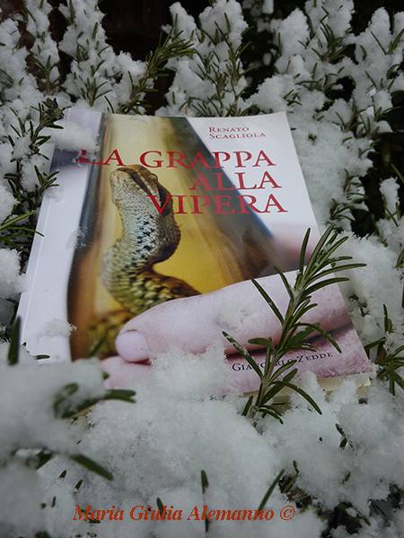 renato-scagliola-grappa-vipera-neve-rosmarino