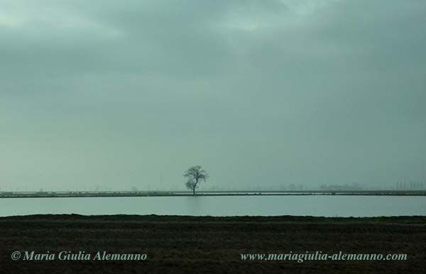 risaia-soledad-b-copy