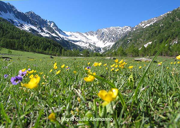 tavolozza-del-pra-val-pellice-copy